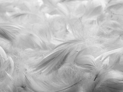 Подушка Nature’S-Natura Sanat Для мужчин 50х70