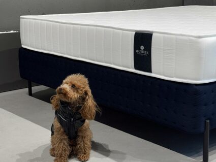 Матрас Materlux Vinaros 120х190