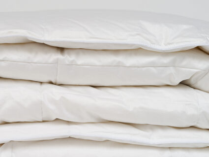 Одеяло Nature’S-Natura Sanat Воздушный пух всесезонное 200х200