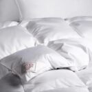 Одеяло German Grass EXCLUSIVE COTTON EIDER DOWN теплое 240х260